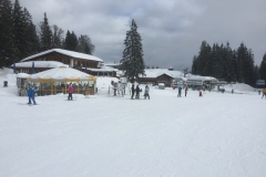 IMG-7010