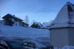 IMG-7036