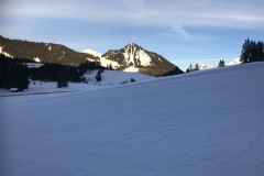 IMG-8814