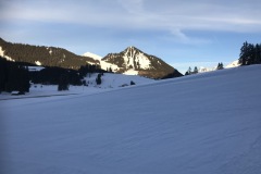 IMG-8815