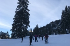 IMG-8817